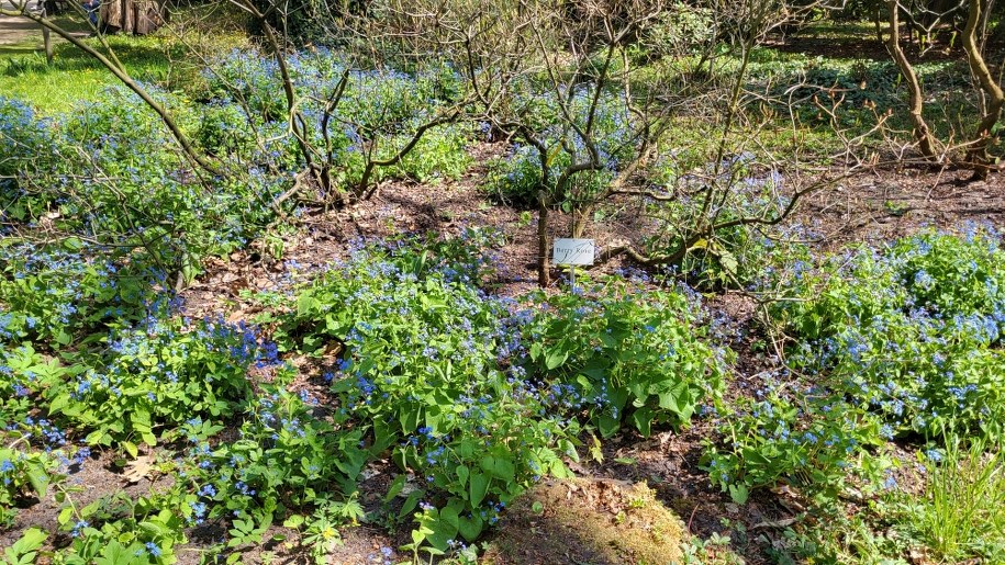 Muzeum Kórnik pod Poznaniem (zdjęcie archiwalne) /Beniamin Piłat /RMF FM