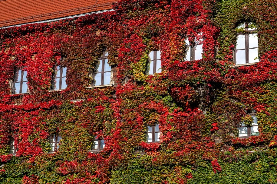 Muzeum Narodowe we Wrocławiu (30 października 2023 r.) / 	Maciej Kulczyński    /PAP