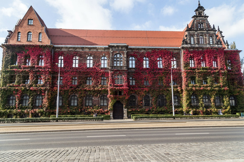 Muzeum Narodowe we Wrocławiu otrzymało hojną darowiznę /Krzysztof Kaniewski/REPORTER /East News