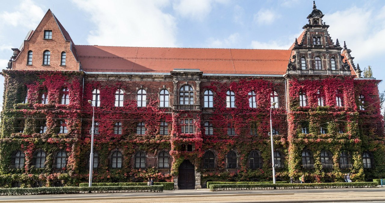 Muzeum Narodowe we Wrocławiu otrzymało hojną darowiznę /Krzysztof Kaniewski/REPORTER /East News