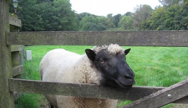 Muzeum St Fagans - podróż w czasie