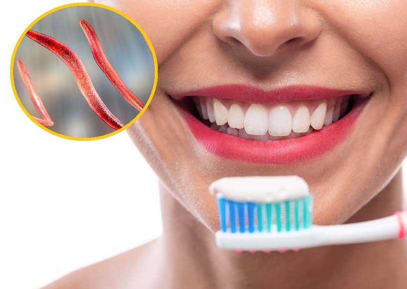 Mycie zębów co najmniej trzy razy dziennie zmniejsza ryzyko zawału aż o 12 proc. /123RF/PICSEL