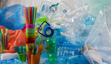 Myjesz plastikowe opakowania przed wyrzuceniem do śmieci? Sprawdź, czy na pewno trzeba to robić