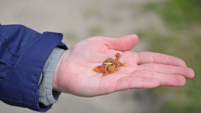 Myślała, że znalazła bursztyn, schowała go do kieszeni. Nagle jej kurtka stanęła w płomieniach
