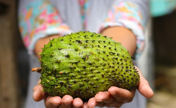Myśleli, że to wyciek gazu. Strażacy ujawnili zaskakujące źródło zapachu