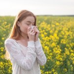 Myślisz o pikniku na łące? Najpierw sprawdź, co pyli w lipcu