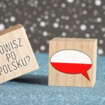 Myślisz, że dobrze znasz język polski? Sprawdź się w naszym quizie. Tylko mistrz zdobędzie 10 punktów