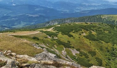 Myślisz, że dobrze znasz Polskę? Ten quiz z parków narodowych to sprawdzi