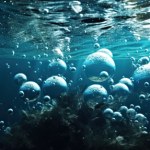 Myślisz, że znasz wodę? Ten QUIZ szybko to zweryfikuje