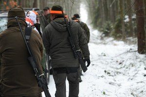 Myśliwi nie będą musieli się badać. Do czego doprowadzą "haniebne zmiany"?