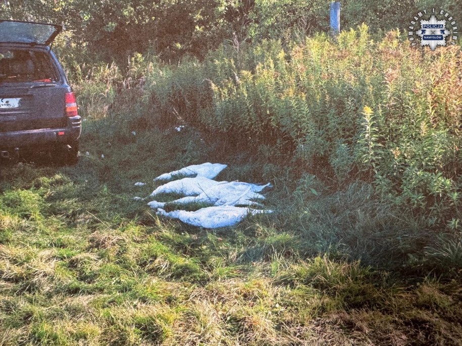 Myśliwi zastrzelili cztery łabędzie, które są objęte ścisłą ochroną /Policja Namysłów /