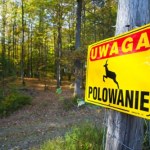 Myśliwi zawiadamiają prokuraturę ws. nielegalnych polowań. Efekt reportażu