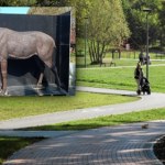 Myśliwi zbierali łuski, żeby postawić rzeźbę. Stanie w środku miasta
