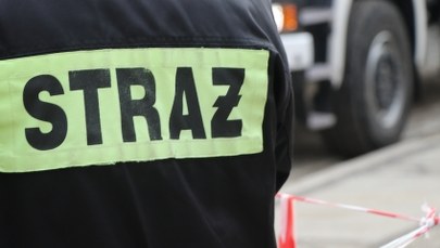 Myszków: Pożar na terenie ogródków działkowych