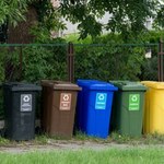 Myszy grasują w śmietniku przed domem? Rozsyp ten proszek, a szybko uciekną 