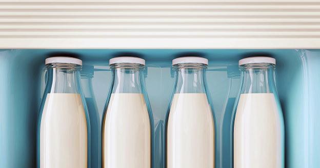 Na 35 przebadanych próbek mleka w 29 stwierdzono wyższy niż dopuszczalny poziom aflatoksyn /&copy;123RF/PICSEL