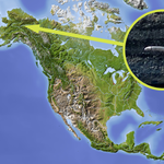 Na Alasce zauważono kieł mamuta wystający z brzegu rzeki