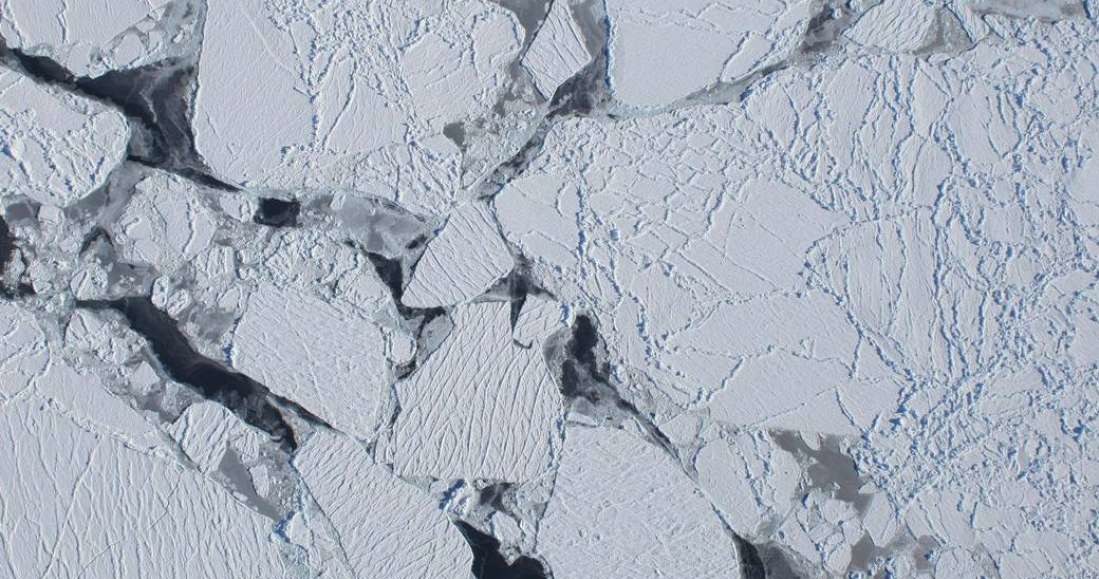Na Antarktydzie mikroplastiku jeszcze nie było /materiały prasowe