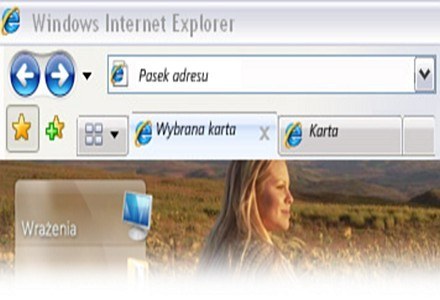 Na atak podatny jest Internet Explorer w wersji 8 oraz wcześniejsze wersje przeglądarki /materiały prasowe