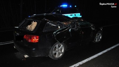 Na auta przewróciło się drzewo, mężczyzna został ranny 