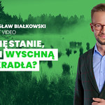 Na bagnach i torfowiskach. Co dzieje się obecnie z podmokłymi terenami?