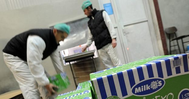 Na Bałkanach jest wielka afera mleczna /AFP