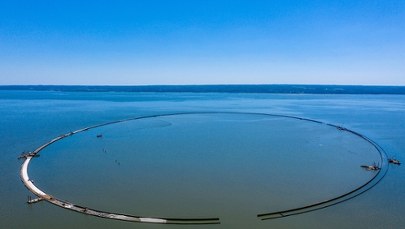 Na Bałtyku "rośnie" wyspa niczym w Dubaju! Polska zyskuje nowy ląd