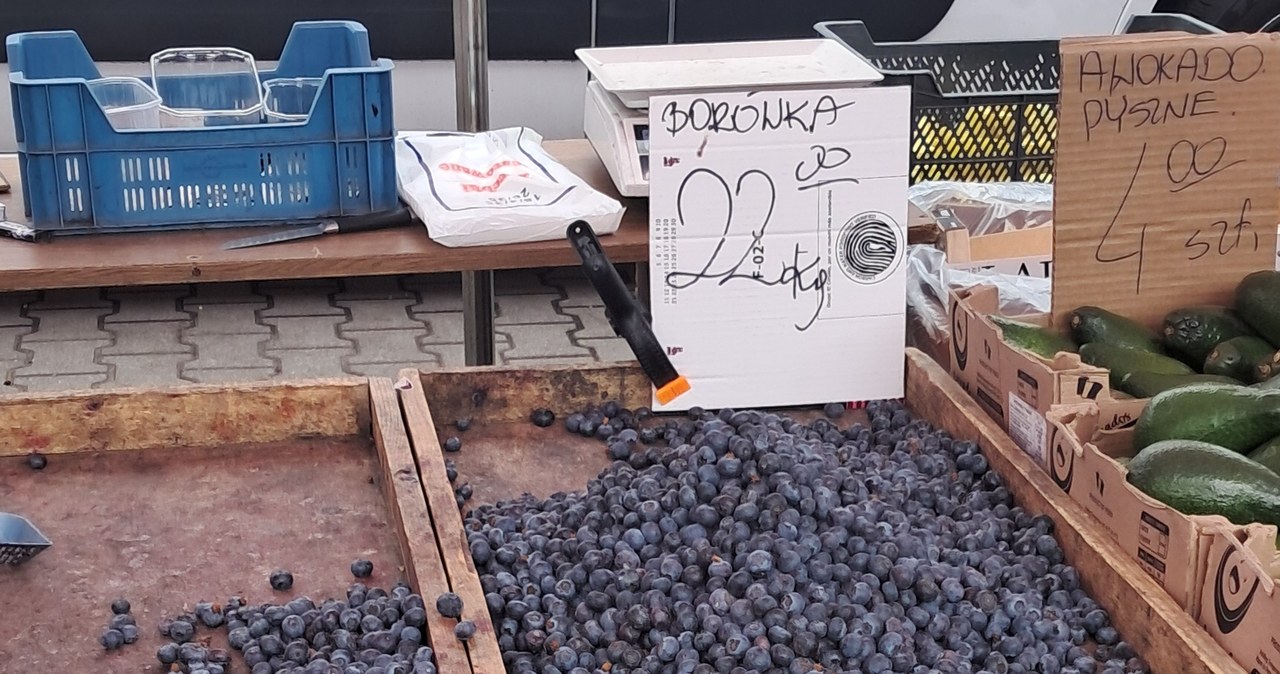 Na bazarach borówki można kupić za 22-35 zł/kg. /interia /INTERIA.PL