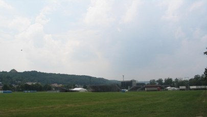 Na Błoniach rośnie łąka papieska. Zakwitnie 50 gatunków kwiatów