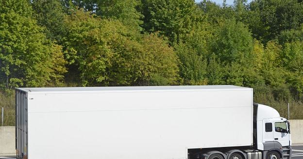 Na brytyjskich autostradach pojawią się opłaty dla zagranicznych ciężarówek /&copy;123RF/PICSEL