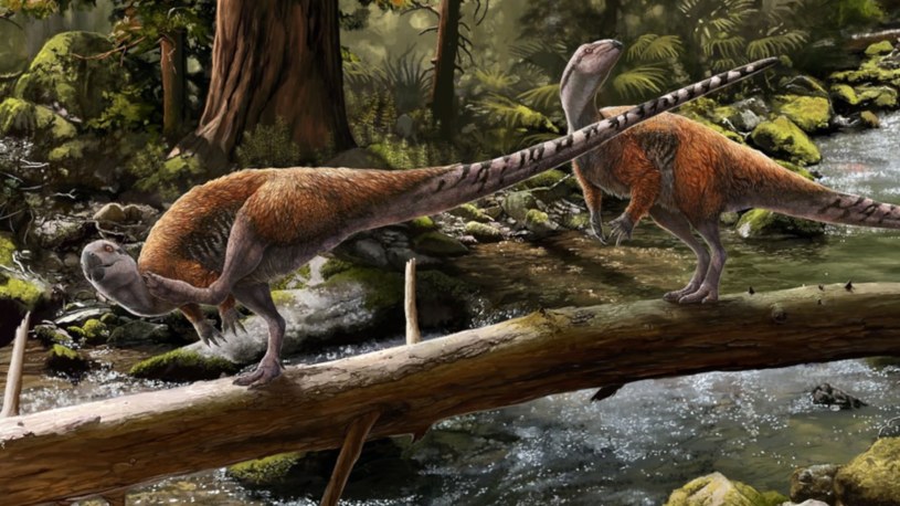 Na brytyjskiej wyspie odkryto nowy gatunek dinozaura /@UniofBath /Twitter