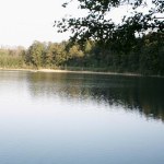 Na brzegu jeziora znajdujemy źródło problemu. Obserwacje zebrano z Polski