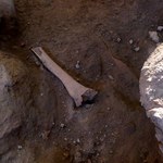 Na budowie boiska odkryto kości powstańców listopadowych 