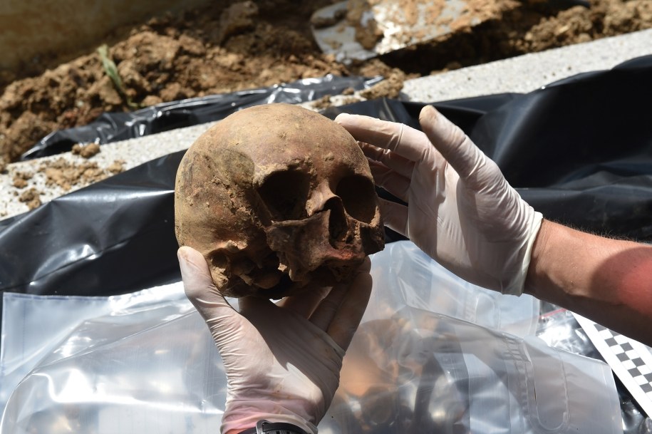 Na Cmentarzu Rakowickim w Krakowie rozpoczęto prace poszukiwawcze, mające na celu odnalezienie szczątków straconych 13 listopada 1947 r. w więzieniu Montelupich oficerów II Zarządu Głównego WiN - kapitana Waleriana Tumanowicza i podpułkownika Alojzego Kaczmarczyka /Jacek Bednarczyk /PAP