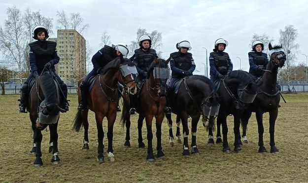 Na co dzień patrole konne można spotkać w Lesie Arkońskim, jak również poza Szczecinem. /KWP Szczecin /