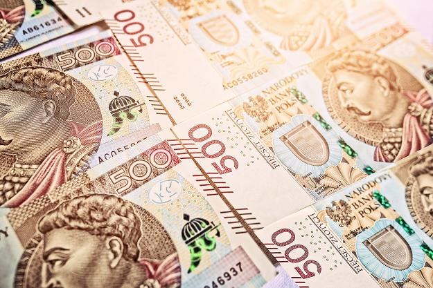 Na co Polacy wydają pieniądze z 500 plus? /&copy;123RF/PICSEL