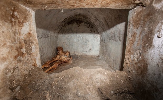 Na czaszce wciąż są włosy. Niezwykłe odkrycie w Pompejach