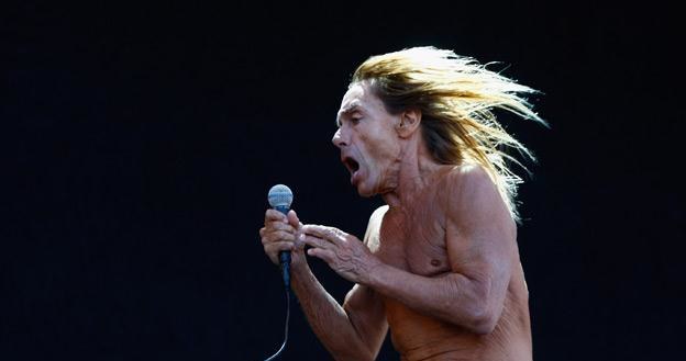 Na czele Iggy And The Stooges stoi Iggy Pop - fot. Simone Joyner Na czele Iggy And The Stooges stoi Iggy Pop - fot. Simone Joyner /Getty Images/Flash Press Media