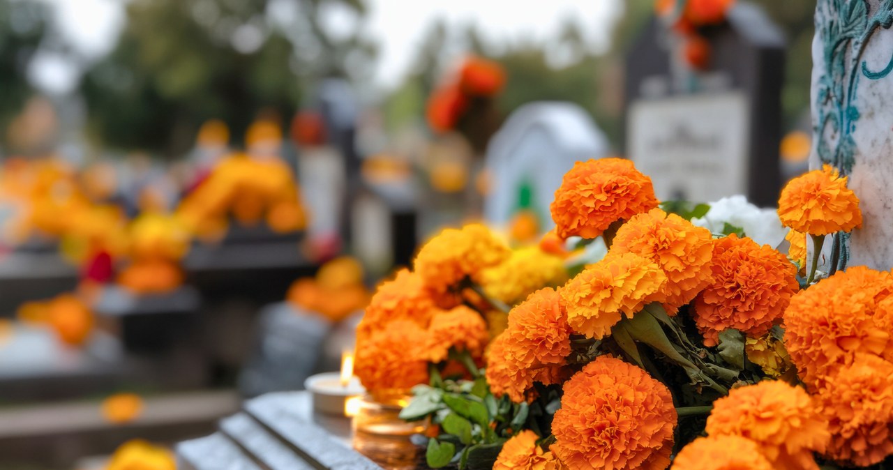 Na czym polega Dia de los Muertos? /starush /123RF/PICSEL