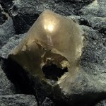 Na dnie oceanu znaleźli złote jajo. Po latach rozwikłano tajemnicę