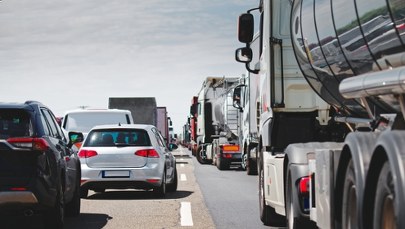 Na drogę wbiegły dziki. Zderzenie 6 aut w Warszawie