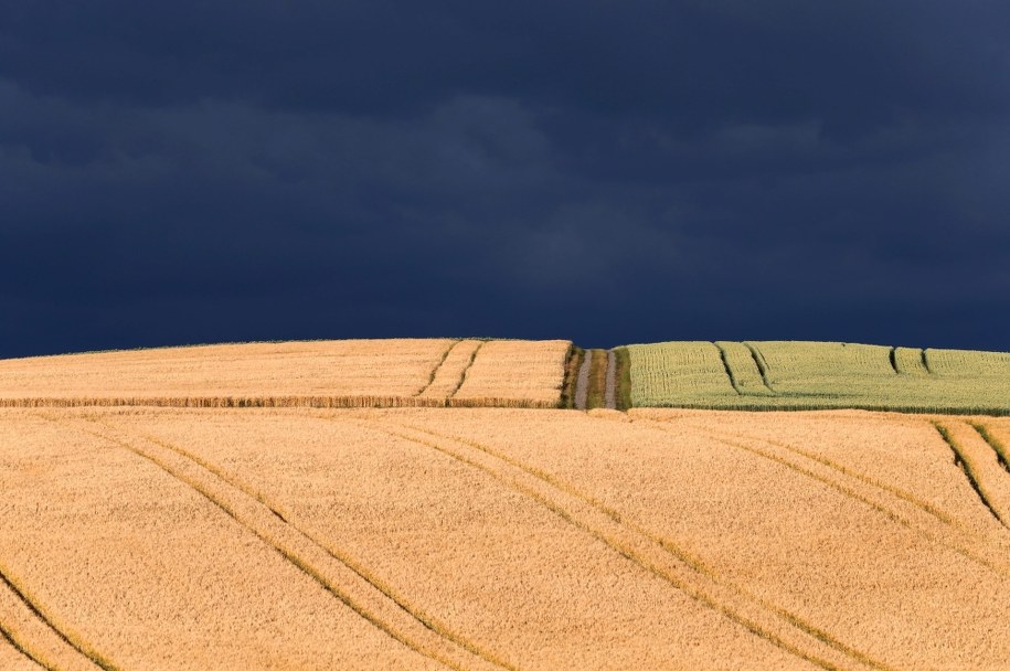 Na gorące lato będziemy musieli jeszcze poczekać /Karl-Josef Hildenbrand /PAP/EPA