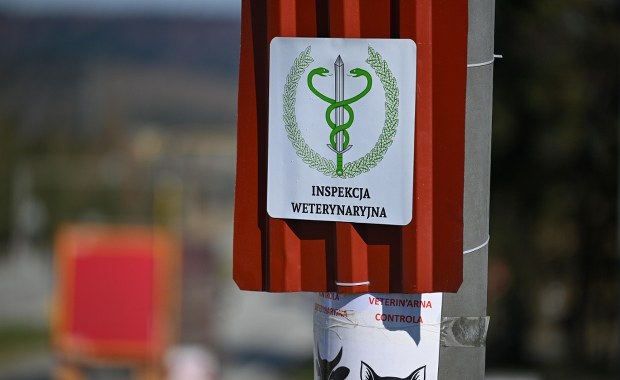 ​Na granicy Polski z Niemcami ruszyły kontrole. Strach przed pryszczycą 