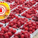 Na granicy zatrzymano 20 ton malin z Ukrainy. "Pleśń i zanieczyszczenia organiczne"