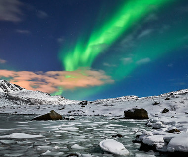 Na Grenlandii odkryto rekordowo stare DNA. Ma ponad 2 mln lat!
