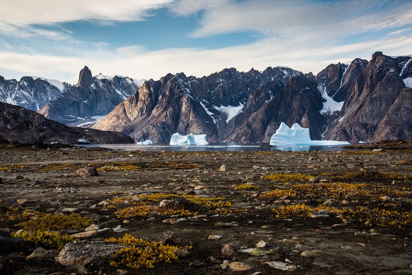 Na Grenlandii znajdują się jedne z największych złóż metali rzadkich /AFP