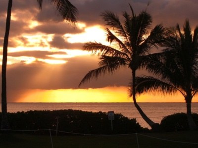 Na Hawajach każdy dzień jest idealny na plażowanie lub egzotyczne wycieczki &nbsp; /&copy; Panthermedia