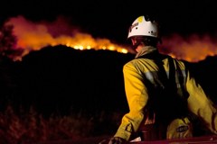 Na Ibizie spłonęły 2 tys. hektarów lasu