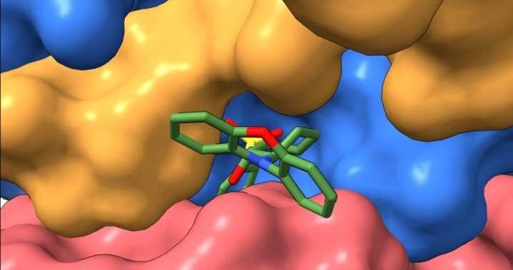 Na ilustracji SMAP przyłączające się do białka PP2A /Fot. Derek Taylor /materiały prasowe