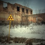 Na ISS będą hodowane grzyby z Czarnobyla